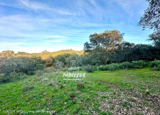  PARCELA EN ZONA ASSUAN MUY BIEN SITUADA DE 6000 m² aprox. - CORDOBA 