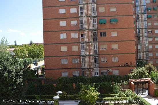 PISO EN ALQUILER PARA ESTUDIANTES EN CAMPUS UNIVERSITARIO CARTUJA - GRANADA