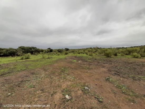  Finca 4´5 hect con agua en Botija - CACERES 