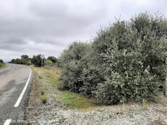 Finca a pie de carretera, en Botija - CACERES