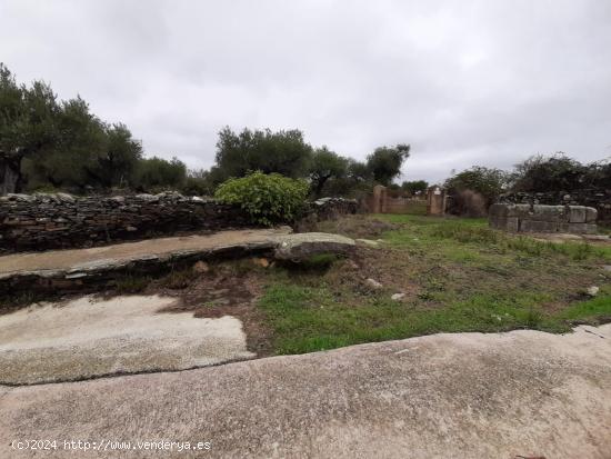  parcela a 1000 m2 con pozo al lado de Botija - CACERES 