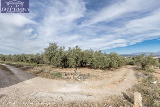 MAGNÍFICA PARCELA CERCANA A CTRA. DE URB. EL TORREÓN - GRANADA