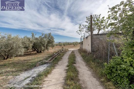 MAGNÍFICA PARCELA CERCANA A CTRA. DE URB. EL TORREÓN - GRANADA