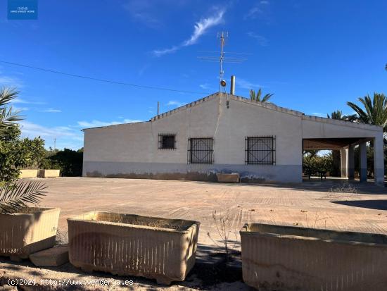  SE VENDE FINCA RÚSTICA EN PARTIDA ALTABIX A 5 MINUTOS DE ELCHE - ALICANTE 