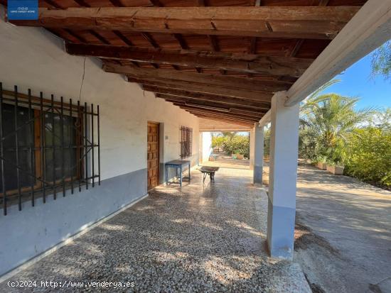 SE VENDE FINCA RÚSTICA EN PARTIDA ALTABIX A 5 MINUTOS DE ELCHE - ALICANTE