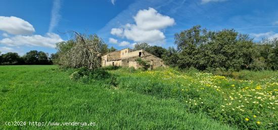 FINCA RÚSTICA EN VENTA EN MANACOR - BALEARES