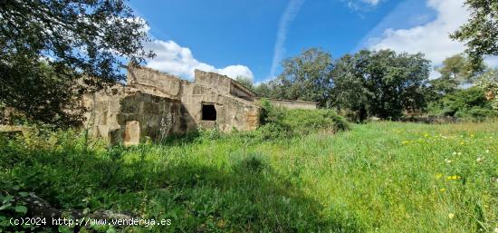 FINCA RÚSTICA EN VENTA EN MANACOR - BALEARES