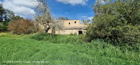 FINCA RÚSTICA EN VENTA EN MANACOR - BALEARES