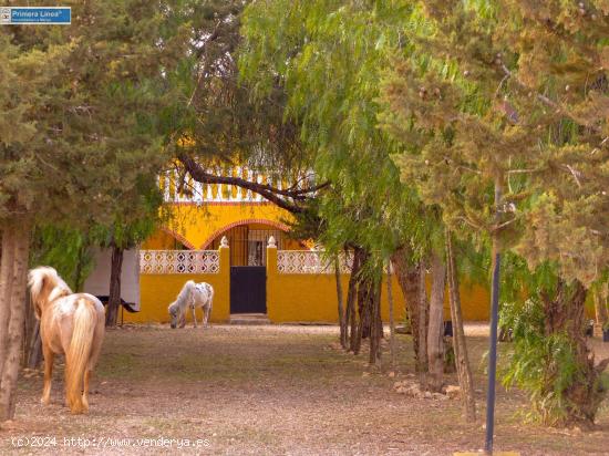 Venta de casa con 9 dormitorios y terreno de 11.000 m2 en el campo en Fuente Alamo - MURCIA