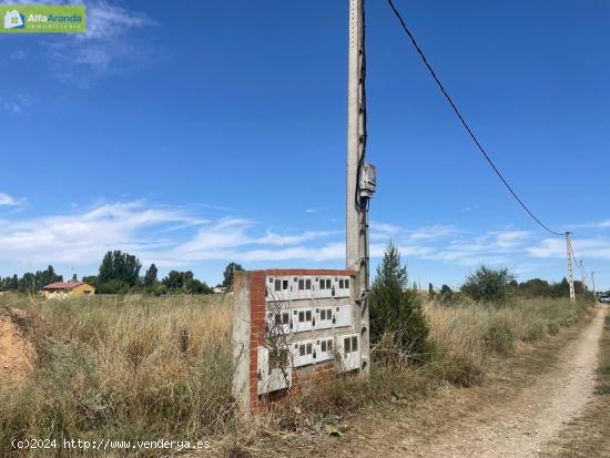 FINCA RÚSTICA CON LUZ Y AGUA DE RIEGO - BURGOS