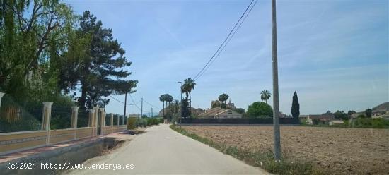 MAGNÍFICA PARCELA EDIFICABLE EN MONTEAGUDO - MURCIA