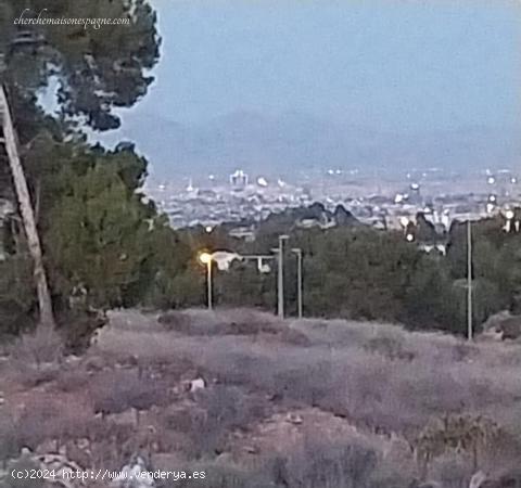 PAREADOS DE OBRA NUEVA EN TORREGUIL, MURCIA - MURCIA