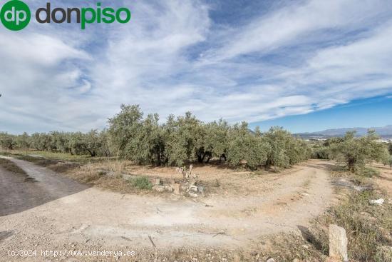  MAGNÍFICA PARCELA CERCANA A CTRA. DE URB. EL TORREÓN - GRANADA 