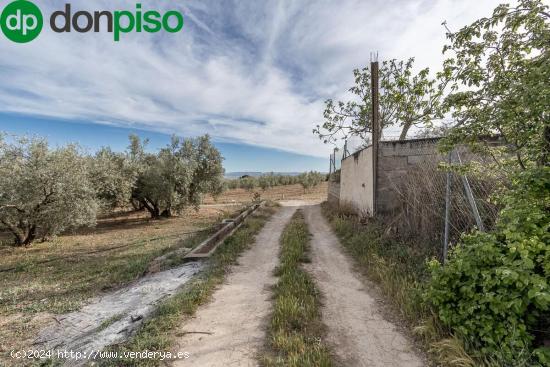 MAGNÍFICA PARCELA CERCANA A CTRA. DE URB. EL TORREÓN - GRANADA