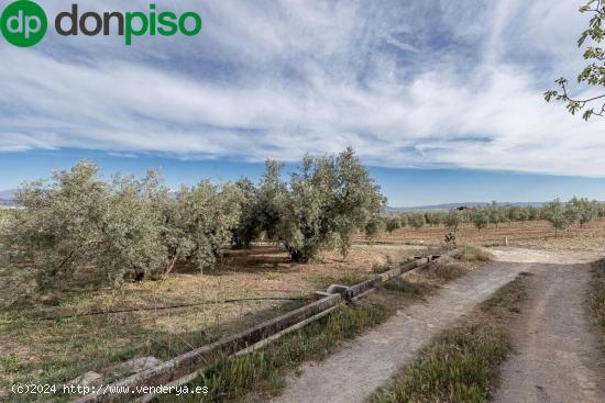 MAGNÍFICA PARCELA CERCANA A CTRA. DE URB. EL TORREÓN - GRANADA