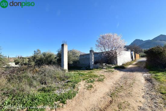  PARCELA RÚSTICA EN COGOLLOS DE LA VEGA - GRANADA 