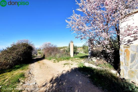 PARCELA RÚSTICA EN COGOLLOS DE LA VEGA - GRANADA