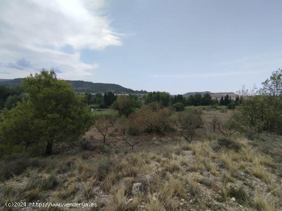 Finca rústica con posibilidad de construcción de vivienda - TERUEL