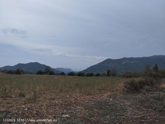 Finca rústica con posibilidad de construcción de vivienda - TERUEL