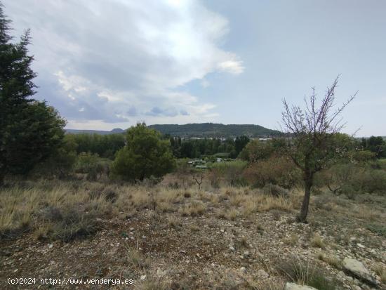 Finca rústica con posibilidad de construcción de vivienda - TERUEL