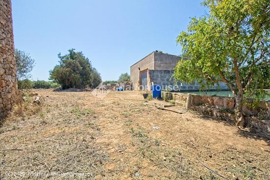 Se Vende en Muro - BALEARES