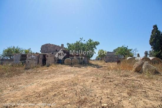 Se Vende en Muro - BALEARES