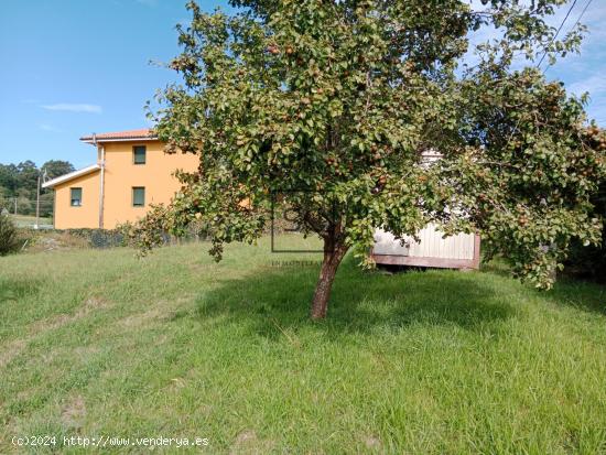 FINCA EDIFICABLE EN MOSENDE-VALDOVIÑO - A CORUÑA