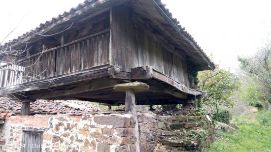  Una Opción de Vida en el Campo  Hipoteca Disponible 285€/mes - ASTURIAS 