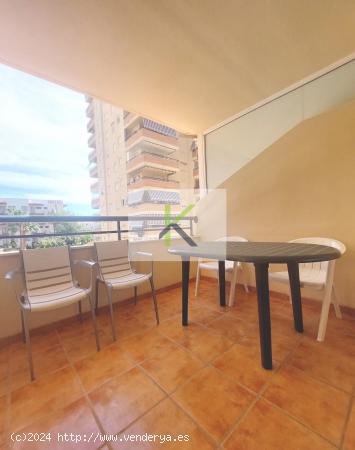 APARTAMENTO EN VENTA CON AMPLISIMA TERRAZA EN ZONA CONCHA - CASTELLON