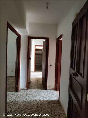 PLANTA BAJA EN VENTA - BALEARES