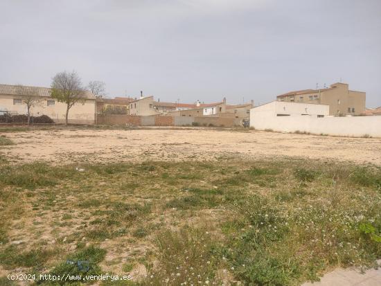 EXCELENTE SOLAR EN ALPERA EN UNA UBICACION INMEJORABLA - ALBACETE