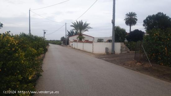 FINCA RUSTICA EN SAN MIGUEL DE SALINAS (ZONA LA MARQUESA) - ALICANTE