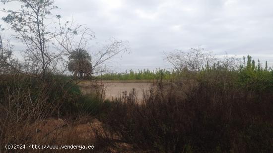 FINCA RUSTICA EN SAN MIGUEL DE SALINAS (ZONA LA MARQUESA) - ALICANTE