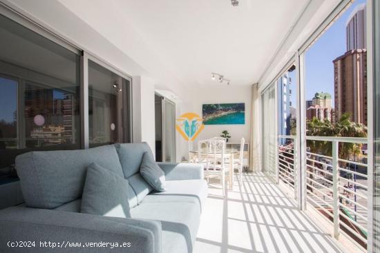  APARTAMENTO A MENOS DE 300M DE LA PLAYA LEVANTE CON LICENCIA VACACIONAL!! - ALICANTE 