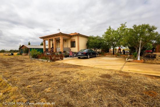 centro de adiestramiento y residencia canina a 25km de Guadalajara - GUADALAJARA