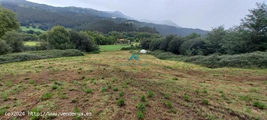  Se vende terreno urbano en Ampuero - CANTABRIA 