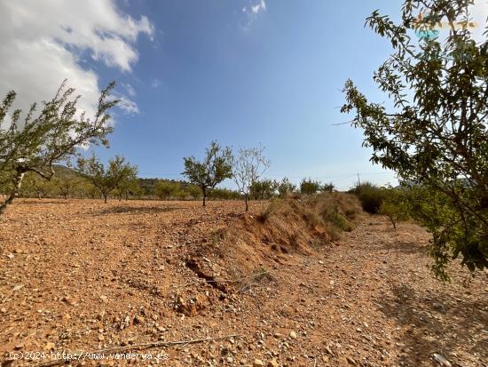 Terreno Rústico en Venta en Puerto de Mazarrón, Valdelentisco - MURCIA