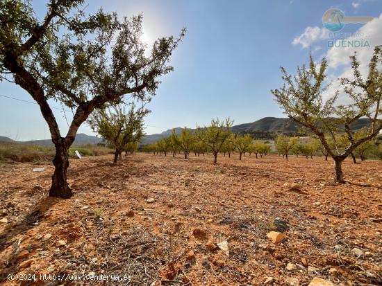 Terreno Rústico en Venta en Puerto de Mazarrón, Valdelentisco - MURCIA