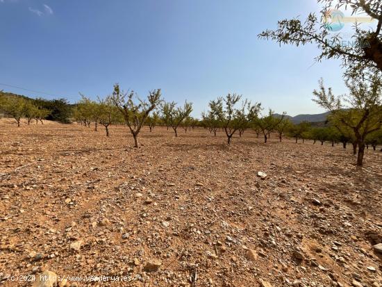 Terreno Rústico en Venta en Puerto de Mazarrón, Valdelentisco - MURCIA