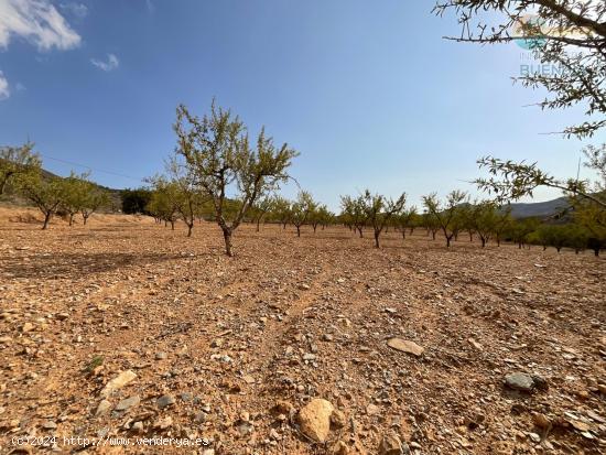 Terreno Rústico en Venta en Puerto de Mazarrón, Valdelentisco - MURCIA