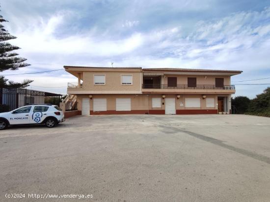 Propiedad con terreno cultivado y naves comerciales anexas en Desamparados, Alicante - ALICANTE