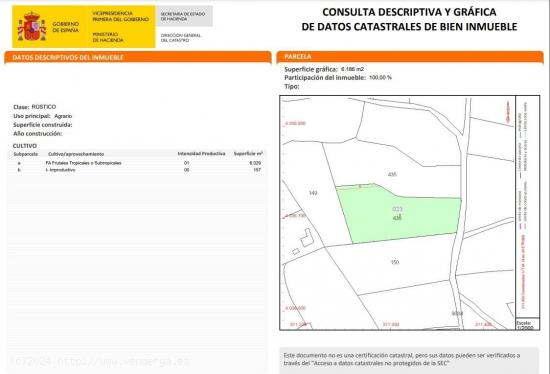 FANTASTICA PARCELA DE 6000 M2 EN LA ZONA ESTE DE LA CIUDAD DE ESTEPONA - MALAGA