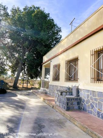 ¡Descubre tu oasis rural en Elche! - ALICANTE