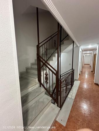 Bonito y amplio apartamento, un dormitorio 45 m2, en Playa de Los Locos en Torrevieja - ALICANTE