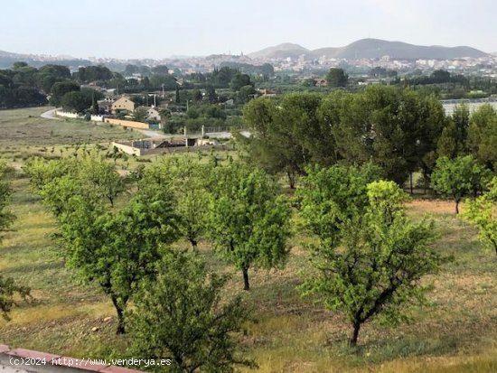 Suelo rústico en venta  en Hellin - Albacete