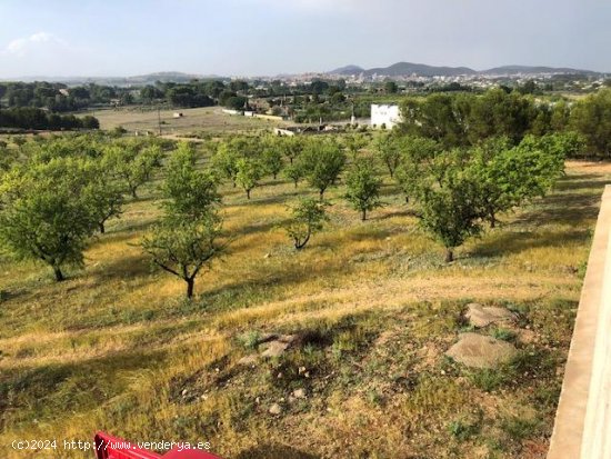 Suelo rústico en venta  en Hellin - Albacete