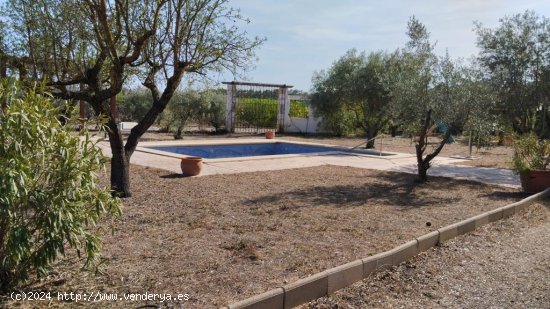  Chalet / Torre en venta  en Hellin - Albacete 