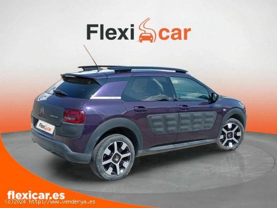 Citroën C4 Cactus PureTech 110cv S&S Shine Edition - Segovia