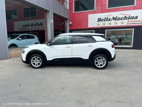 Citroën C4 Cactus BlueHDi 88KW (120CV) EAT6 Shine - Parla