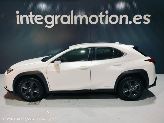  Lexus UX 2.0 250h Business - Lugo 